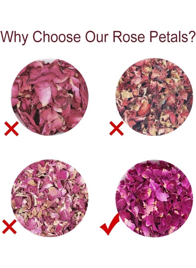 TEARELAE Premium Dried Rose Petals - Image 4